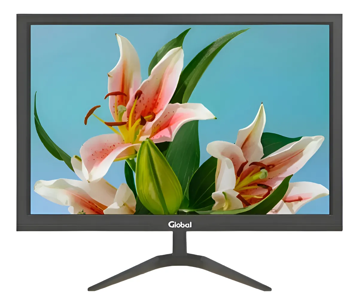 Monitor Led Global 19 Hd 60hz Vga Hdmi